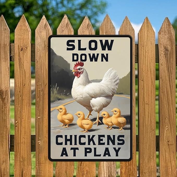 Funny Chicken Signs Slow Down Chickens At Play,chicken Crossing Aluminium Sign Metal Chicken Signs Decor Home Ktichen Farm Are Wall 12x16 Inch Chicken Signs For Coop Metal Tin Signs Poster