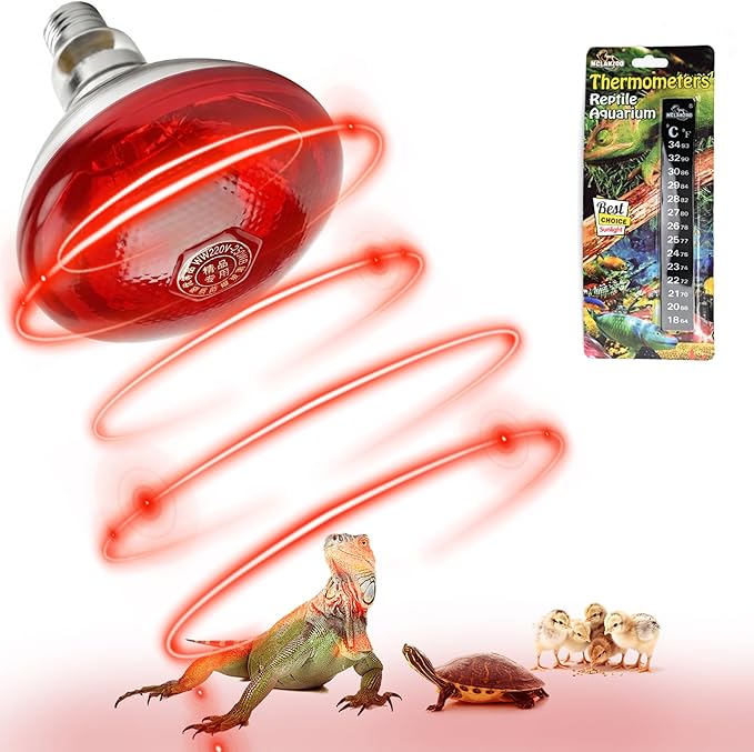 250W Red Reptile Heat Lamp Bulb for Chick Brooder,Infrared Heating Light Bulb for Reptiles,Chicken,Farm Animals,Bathroon,Food,Poultry,Shatterproof,E26 Base with Temperature Sticker