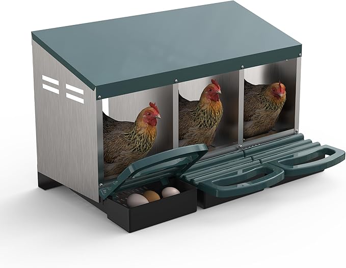 Chicken Nesting Box 3 Hole, Galvanized Steel Nest with Roll Away Egg Collection & Swing Perch, Easy-Clean Laying Box for Hens, Heavy Duty Design for Chicken Coop