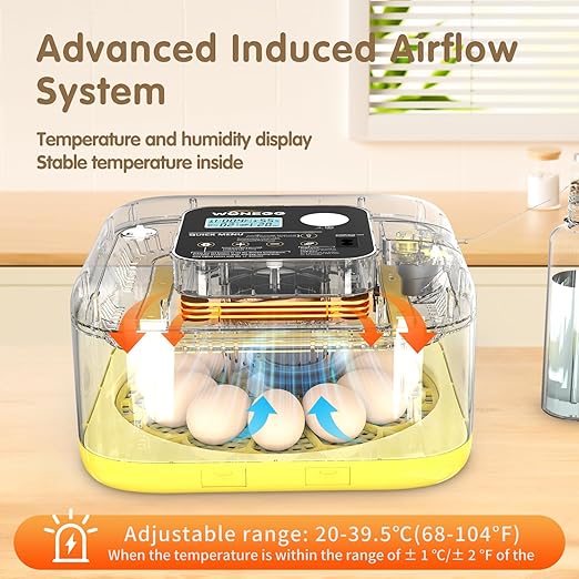 HOWOOlUA 12 Egg Incubator for Hatching Eggs with Auto Turn, Temp & Humidity Control, Built-in Candler Large Capacity Egg Incubator for Chicken Duck Goose Eggs (Yellow)