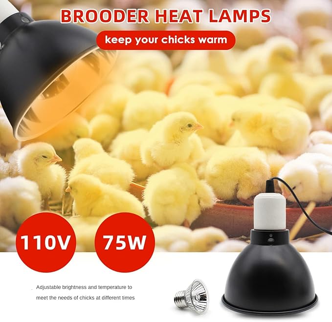 Chick Feeder and Waterer Kit with 75W Heat Lamp, Starter Kit for Brooder, Baby Chicken Supplies for Baby Chick, Duck and Quail
