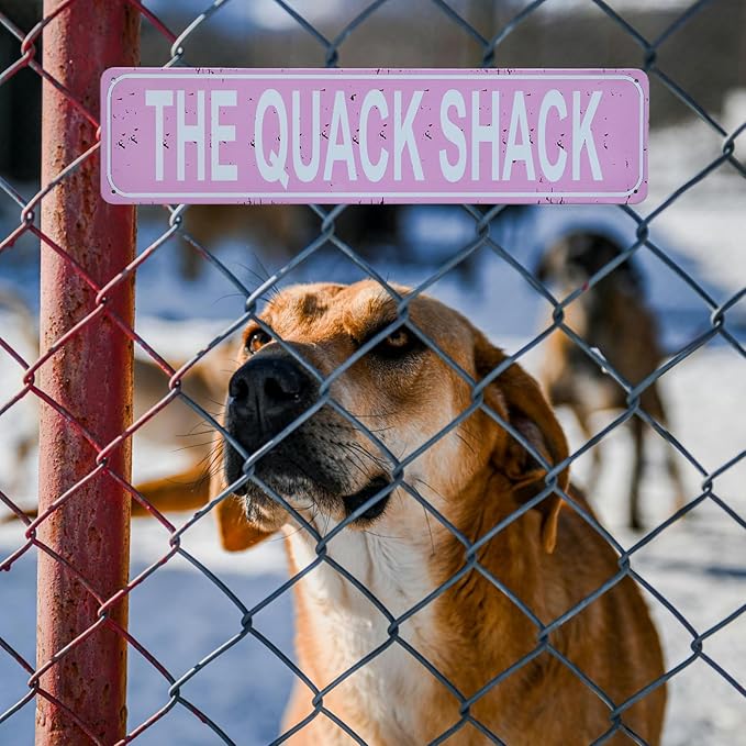 Quack Shack Retro Metal Tin Sign - Duck Waterfowl Chicken Coop Decor, Rustic Street Sign, Door Name Plate Plaque for Farmhouse Pub, Bar, Home Wall Art 16x4 Inch (pink)