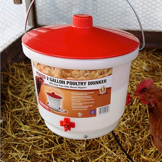 Farm Innovators Heated Waterer with Lid, 60W Hanging Water Dispenser - 2 Gallon Poultry Drinker Bucket with Red Top for Chickens, Turkeys, and Geese