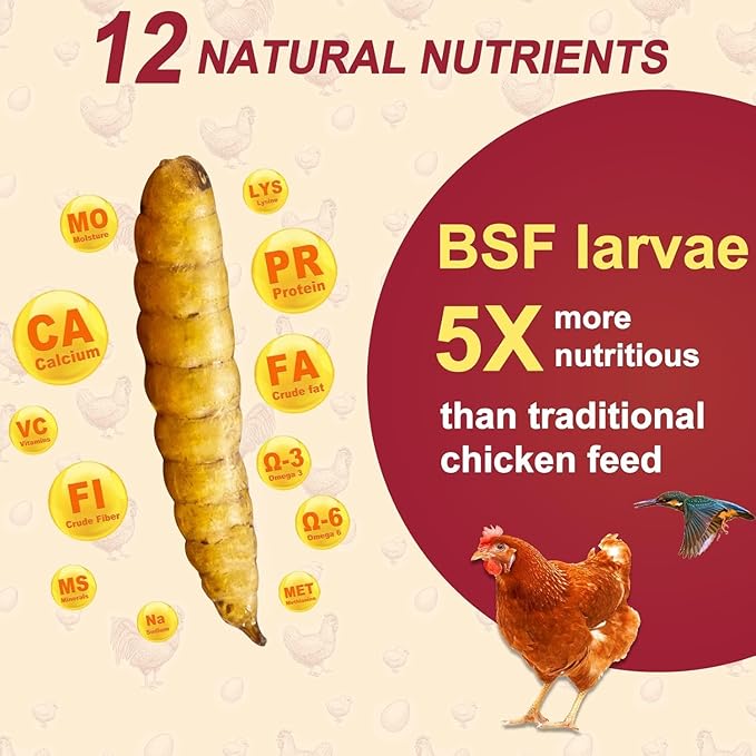 5LB Dried Black Soldier Fly Larvae for Chickens Bulk, Non GMO 86X High Calcium Grubs Than Meal Worms for Laying Hens,100% Natural BSF Larvae for Chicken Worms Wild Bird Treats, Protein Chickens Feed