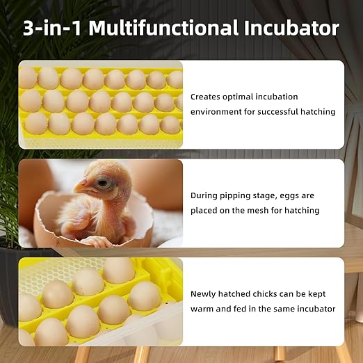 Egg Incubator for Hatching Eggs, Automatic Egg Turner & Digital Humidity Control, 56 Egg Capacity, Clear Temperature Display, Externa, 360° Clear Viewing for Poultry, Ducks, Quail (48-56 Eggs)