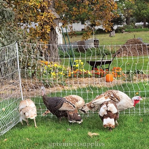 Premier 1 PoultryNet® Plus, 48"H x 100'L Electric Fence Starter Kit | Extra Line Posts to Reduce Sag | Includes: Solar Energizer, FiberTuff™ Support Posts and Tester | White/Black