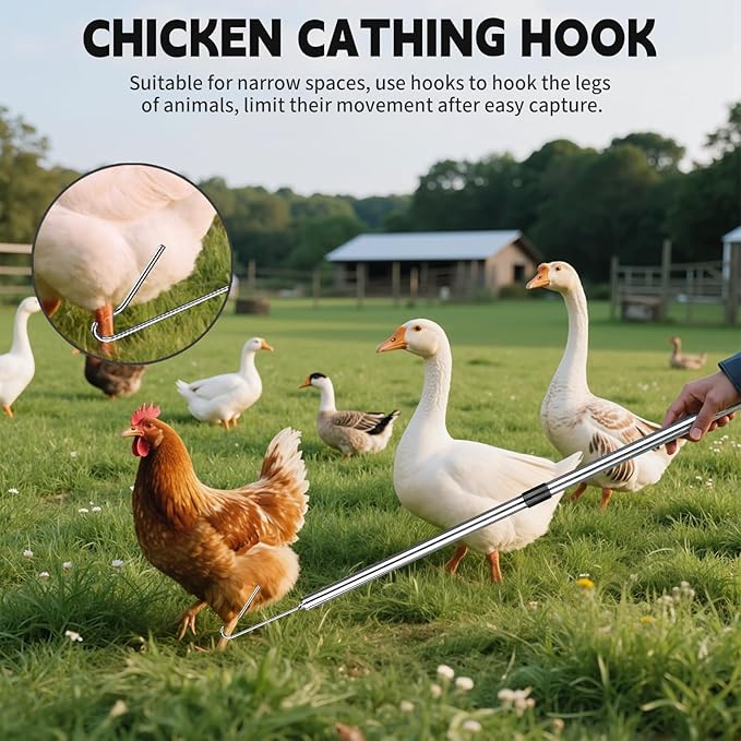 Chicken Net Catcher 3 in 1 Kit,Adjustable from 33" to 79" Chicken Net with 2 Folding Fish Nets & Chicken Leg Hook.Suitable for Catching Chicken,Fish,Birds,Cats,Poultry and Animals（15.3" x 23.2" Net）