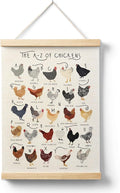 AQYIP Chicken Breeds Alphabet Wall Art Decor, Chicken Lover Gifts, Rooster Hens ABC Poster Canvas Prints for Home Kitchen Kids Room Classroom Wall Decoration, 12x16 Inch, Rustic Farmhouse Decor