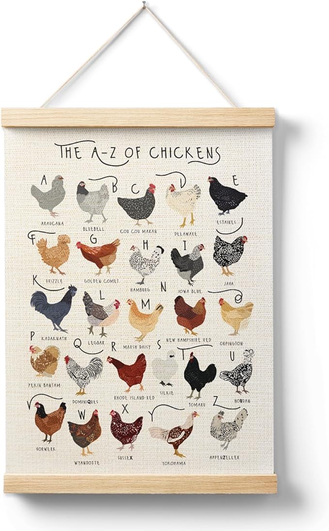 AQYIP Chicken Breeds Alphabet Wall Art Decor, Chicken Lover Gifts, Rooster Hens ABC Poster Canvas Prints for Home Kitchen Kids Room Classroom Wall Decoration, 12x16 Inch, Rustic Farmhouse Decor