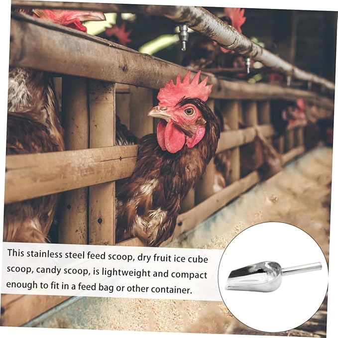 Scoops for Food Stainless Steel Feeding Scoop for Livestock Grain,Feed Distribution 12-Inch Food Serving Easy to Clean for Farm Feeding and Pet