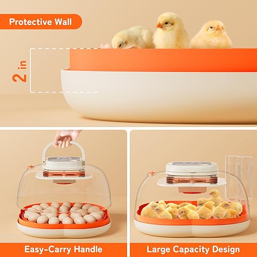 25 Egg Incubator, Extra-Large Interior with High Protective Wall, Top Carry Handle, Automatic Egg Turner, Preset Incubation Period, Auto Water Refill, for Chicken, Quail & Duck Eggs, APDOE HatchPro 25