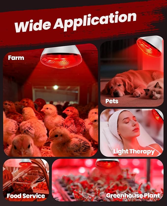Infrared Heat Lamp for Chickens: 250W Red Heat Lamp Bulb - Heat Light Bulbs for Brooder Coop Chicks Pets Reptile Food Service Bathroom Light Therapy - Chicken Infrared Incandescent Light Bulbs -1 Pack