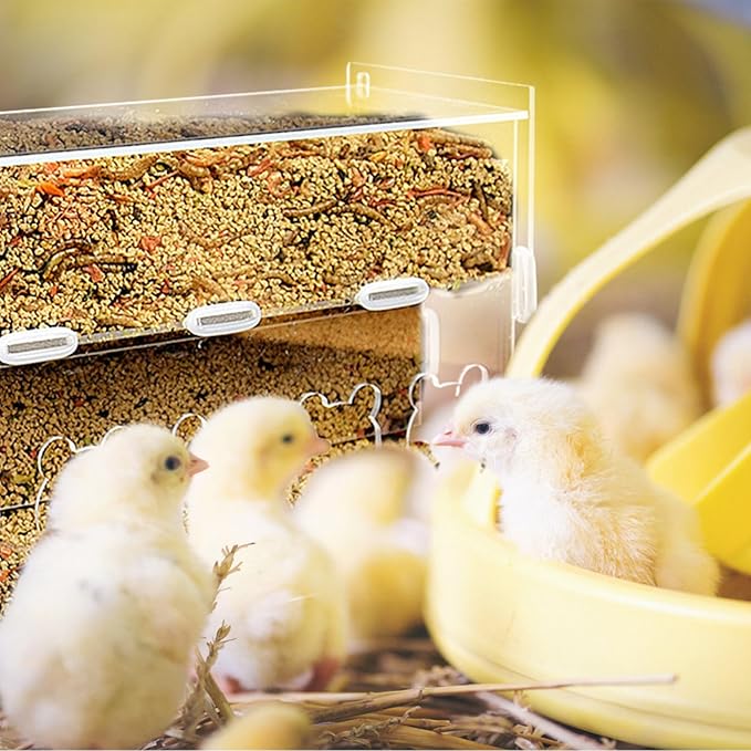 Happyyami Chickens Chicken Feeders No Waste Feeding System Poultry Feeder Automatic