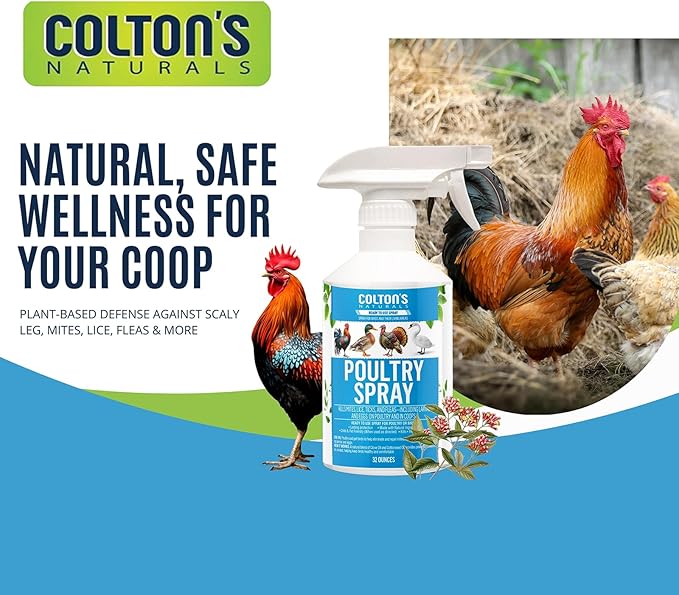 Colton’s Naturals Poultry Spray 32 oz – for Chickens – Helps with Mites, Lice, Fleas & Scaly Leg – Safe for Coops, Birds & Backyard Poultry