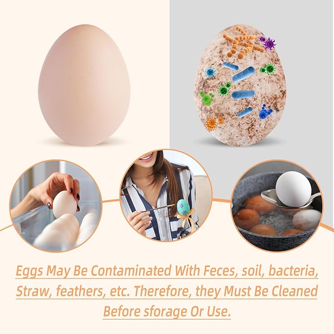 Silicone Egg Brush Cleaner, Egg Washer for Fresh Eggs, Egg Cleaner for Fresh Eggs, Egg Scrubber for Fresh Eggs, Reusable Cleaning Tools for Egg Washer (Green)
