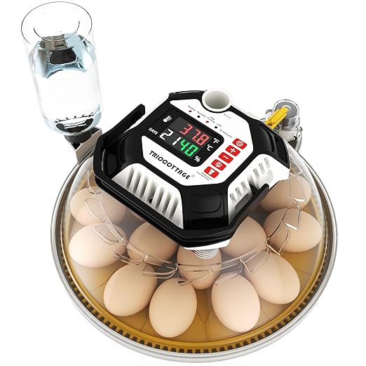 Incubators for Hatching Eggs, 12–18 Egg Capacity Digital Egg Incubator with Automatic Egg Turning and Accurate Humidity Control for Chicken, Quail, Duck