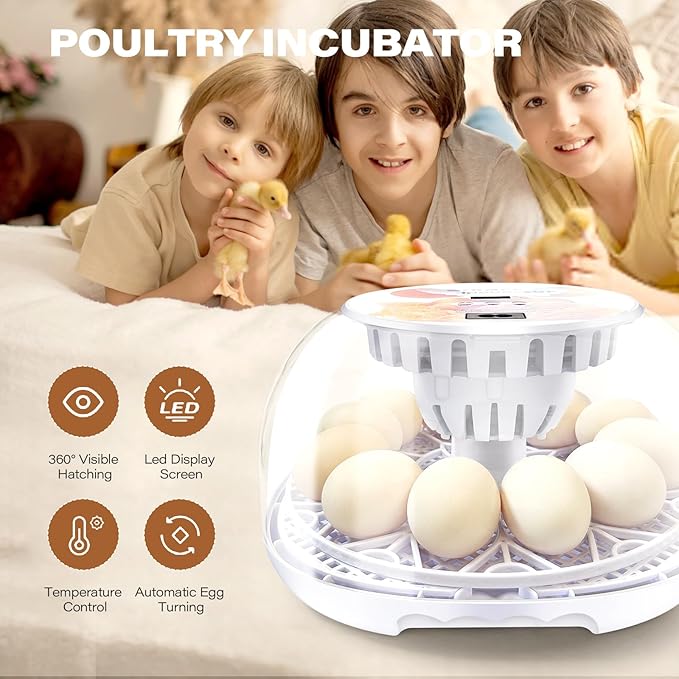 12 Egg Incubators for Hatching Eggs | with Auto Egg Turner, Temp & Humidity Control | 360° Viewing for Chicken, Duck, Quail Eggs | Ideal for Farm, School, Home