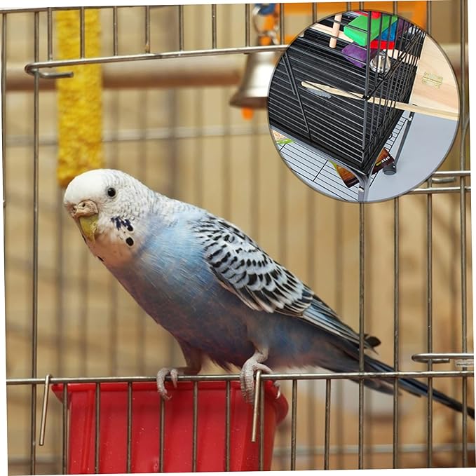 2pcs Bird Cage Cleaning Tools Set Random Brush and Shovel for Pet Parrots and Birds Handle Design for Easy Use Multi-Function Supplies Environment