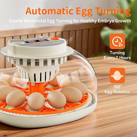 Egg Incubator with Temperature and Humidity Control, Automatic Egg Turning, Egg Candler, External Water Bottle, Adjustable Air Vent, 360° Clear View, for Chicken, Duck & Quail Eggs, APDOE HatchPro 12