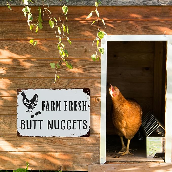 Funny Chicken Gifts for Women, Farm Fresh Butt Nuggets Aluminium Plate Signs, Humorous Chicken Decor for Home Farmhouse Coop Kitchen, Rustic Wall Art Decorations 8 X 12 Inch