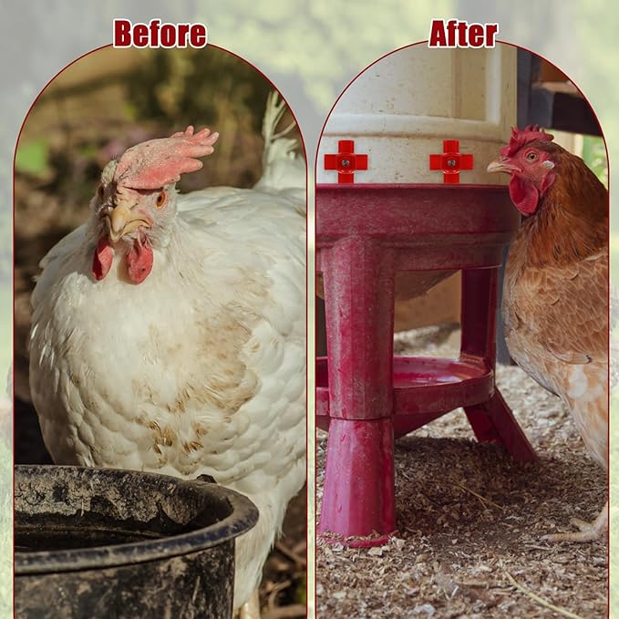 Chicken Water Nipples 40 Pack Automatic Poultry Nipples Horizontal Side Mount Nipples Drinker Non Leak Chicken Waterer for Bucket Chicken Feeders Chicken Coop Outdoor