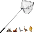 Chicken Catching Net, Animal net with Extendable 46 Inch Stainless Steel Pole, Chicken Net for Chickens, Ducks, Birds Cats, Dogs，Fishnet, Chicken Catcher for Poultry Supplies