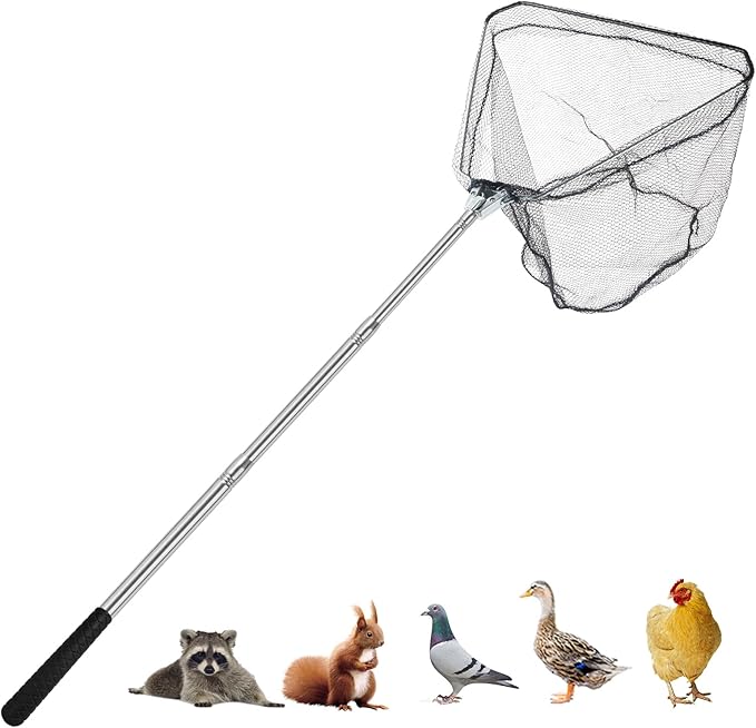Chicken Catching Net, Animal net with Extendable 46 Inch Stainless Steel Pole, Chicken Net for Chickens, Ducks, Birds Cats, Dogs，Fishnet, Chicken Catcher for Poultry Supplies