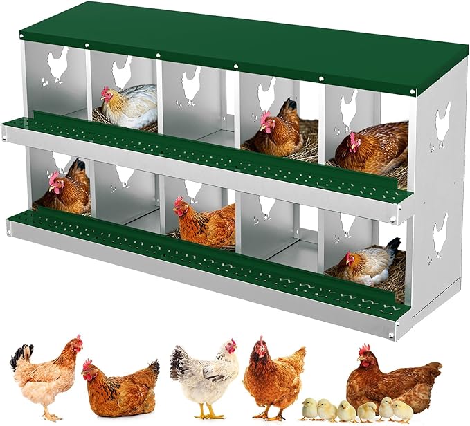 10 Holes Chicken Nesting Boxes, 2 Tiers 10 Compartments Metal Egg Laying Boxes, Wall Mount or Free Standing, Ventilated for Chickens, Hens, Ducks, Farm, Yard, Poultry Coop Accessories, Easy to Clean