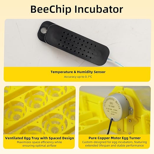 Egg Incubator for Hatching Eggs, Automatic Egg Turner & Digital Humidity Control, 56 Egg Capacity, Clear Temperature Display, Externa, 360° Clear Viewing for Poultry, Ducks, Quail (48-56 Eggs)
