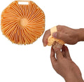 Egg Washer for Fresh Eggs - Egg Cleaner for Fruits and Vegetables, Keeps Produce Fresh (1, Orange)