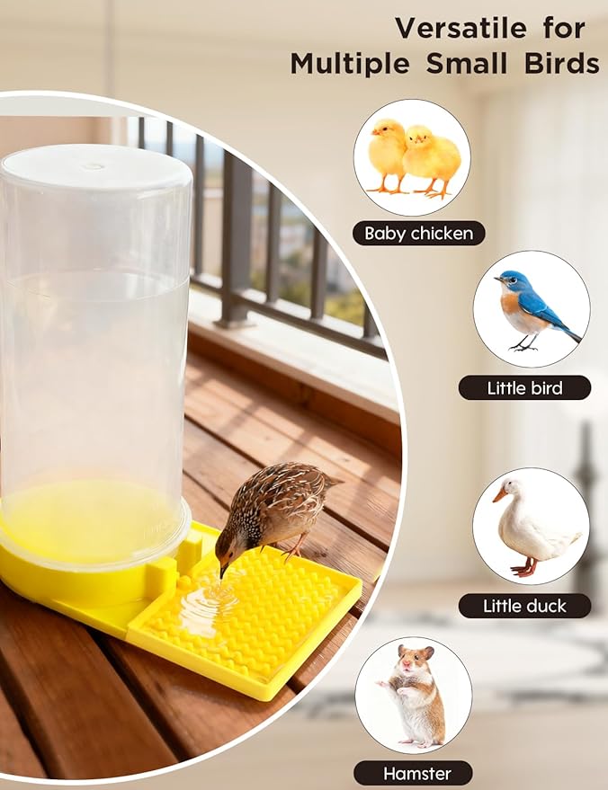 Large Capacity Quail Water Feeder,Button Quail Supplies for Quail Cage, Multi-Use as Quail Feeder, Quail Waterer, Chick Waterer,Baby Chick Waterer, Ideal Quail Feeders for Baby Bird