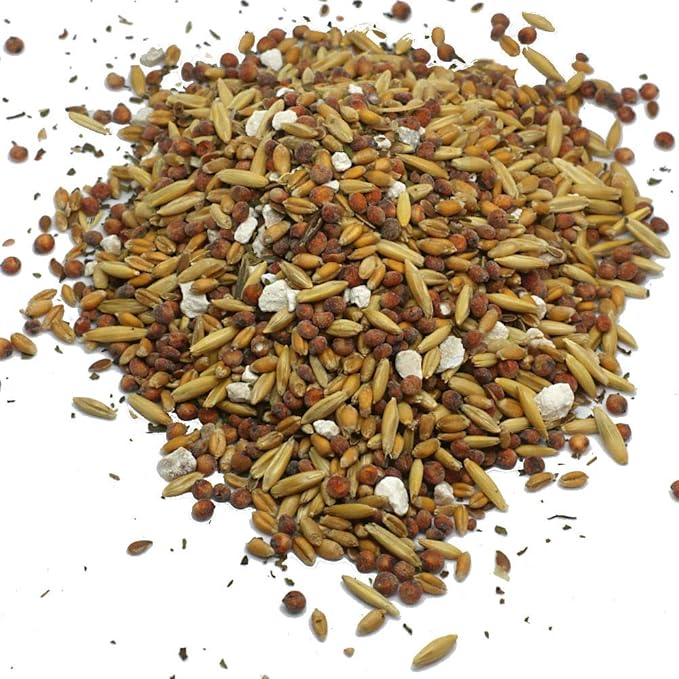 Pampered Chicken Mama Premium Scratch Feed Treat - High Protein & High Calcium All-Natural Backyard Chicken Grower Feed Supplies for Laying Chickens (10 pounds)