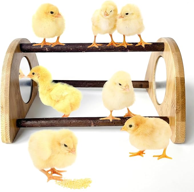 Mini Chick Perch with Mirror, Natural Willow Wood Roosting Bar for Coop&Brooder, Anti-Slip Training Perch for Baby Chicks, El Pollitos, La Pollita, Easy to Assemble&Clean, Fun Toys for Chick