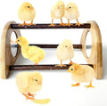 Mini Chick Perch with Mirror, Natural Willow Wood Roosting Bar for Coop&Brooder, Anti-Slip Training Perch for Baby Chicks, El Pollitos, La Pollita, Easy to Assemble&Clean, Fun Toys for Chick