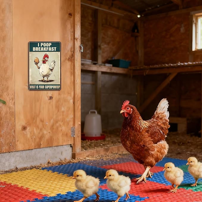 Funny Chicken Coop Sign Chicken Kitchen Decor Farmhouse Home Decor Outdoor Yard Metal Sign For Home Garden 8×12 Tin Sign