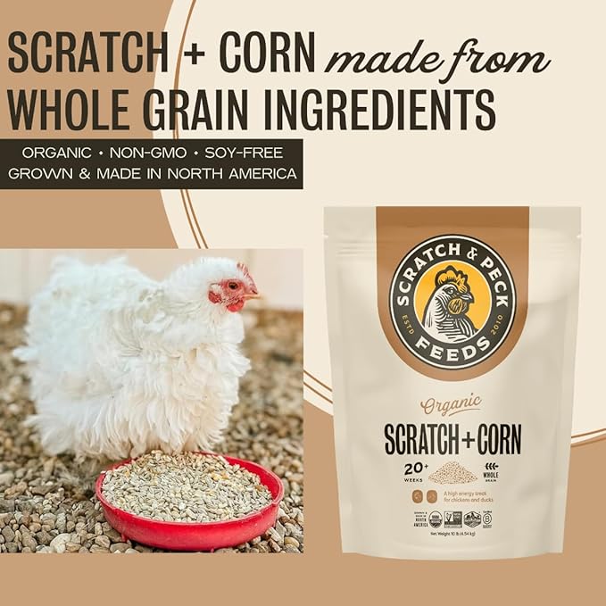 Scratch and Peck Whole Grain Scratch + Corn Chicken and Duck Supplemental Grain - 10 lbs Bag - Soy-Free - 9% Protein, Certified Organic and Non-GMO Project Verified Chicken Food