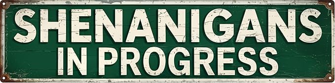 Shenanigans in Progress Metal Tin Sign Wall Art Outdoor Decor 4x16 in