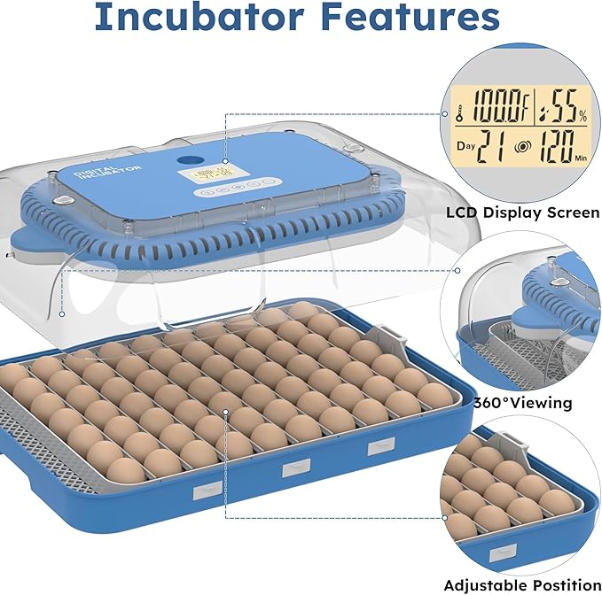 Egg Incubator for Hatching 70 Chicken, Duck, Quail & Goose Eggs – Automatic Egg Turner, Humidity & Temperature Control, Built-in LED Candler, Auto Water Refill, 360° Clear View Digital Poultry Hatcher