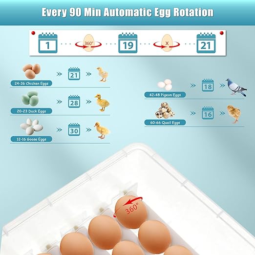 Incubators for Hatching Eggs,36 Egg Incubator,Automatic Egg Turning,Temperature & Humidity Control,Abnormality Monitoring,Egg Candle,Professional Incubator for Chicken,Duck,Geese,Quail