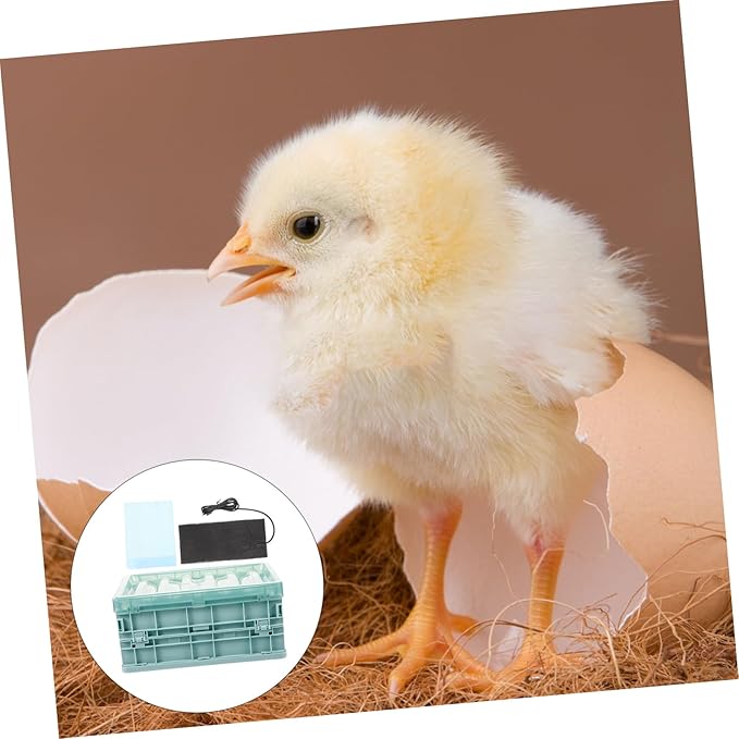 Toyvian 1set Plastic Parrot Incubator with Heating Pad Brooder Box for Birds Chickens and Ducklings Portable Easy to Clean Wear-Resistant Design for Home Use