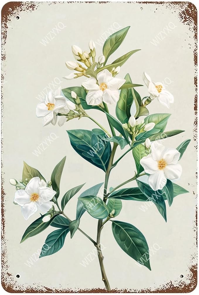 Flowers Metal Signs Jasmine Sign Vintage Tin Sign Retro Wall Art Decor for Living Room Bedroom Garden Yard Shop Bar 8×12 Inches
