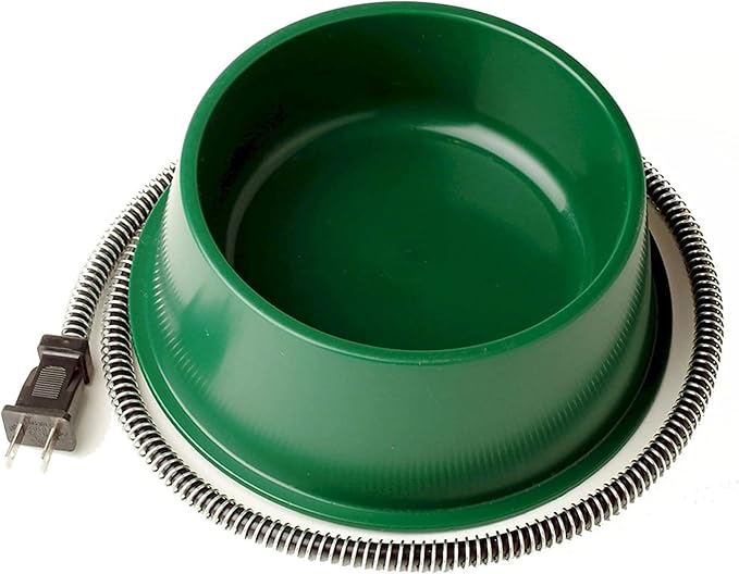 Farm Innovators QT-1 1 Quart Electric Heated Pet Water Bowl with Thermostatic Control and Anti Chew Cord Protector, 25 Watt, Green (4 Pack)