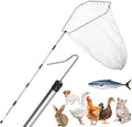 Chicken Catcher, Adjustable from 29 inches to 74 inches Chicken Net,Chicken Leg Hook, Suitable for Catching Outdoor Animals Such as Chickens, Ducks, Fishnet,Geese,Birds (15.3 x 23.2 inch net)