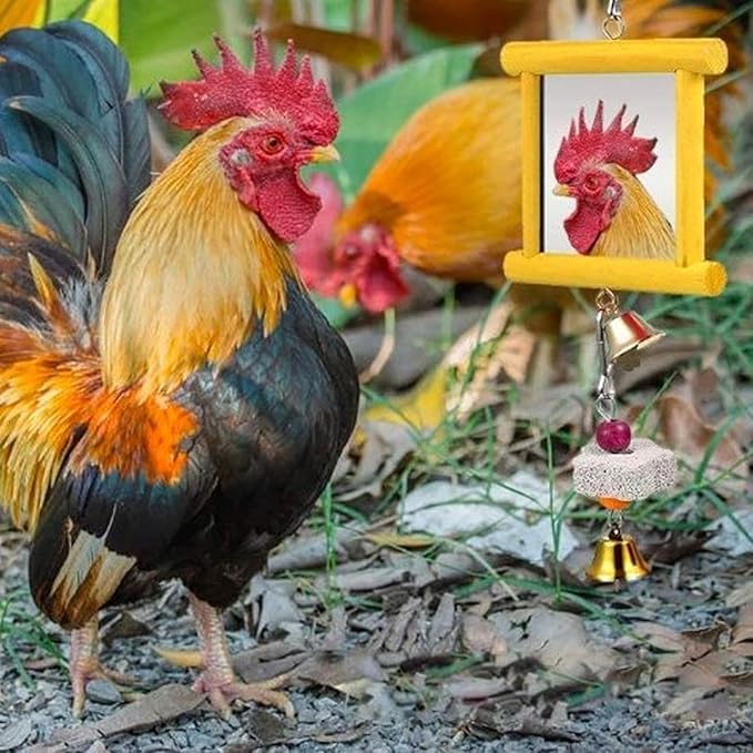 Chicken Mirror Swing - Chicken Toy Mirror |Chicken Mirror Beak Grinding Enrichment, Chicken Coop Mirror Swing, Coop Enrichment Mirror Pecking Toy, Safe Roosters Poultry Entertainment Accessories for Y