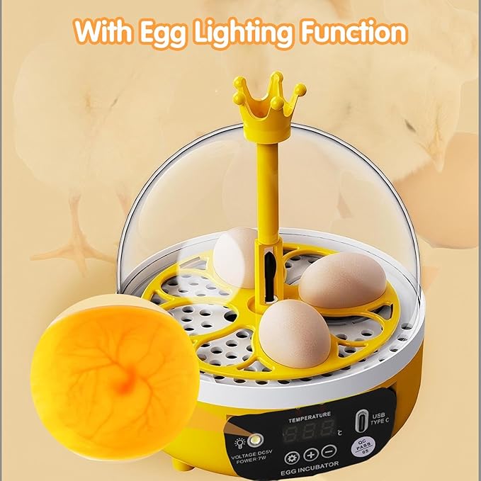 Tissting 4 Eggs Mini Incubator with Transparent Lid,7W Automatic Temperature Humidity Control,Household Small Poultry Hatching Machine,for Chickens Ducks Pigeons (Manual Turning)