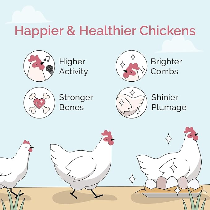 Mile Four Organic Chicken Feed (46 lbs) Starter Chick Mash, Non-GMO, USA Grown, 21% Protein, Corn-Free, Soy-Free, Non-Medicated Chick Feed