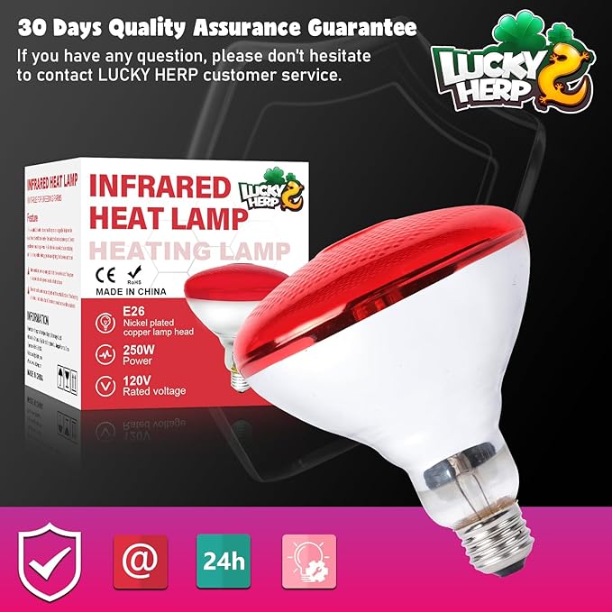 LUCKY HERP Infrared Heat Lamp for Chickens - 250 Watts Red Heat Lamp Bulb 1 Pack, Heat Light Bulb for Brooder Coop, Food Service, Chicks, Pet, Reptile