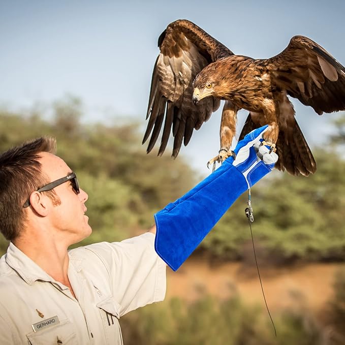 Animal Handling Gloves Bite Proof Reinforced Leather for Dog Training Cat Scratch Falcon Reptile Grabbing Snake