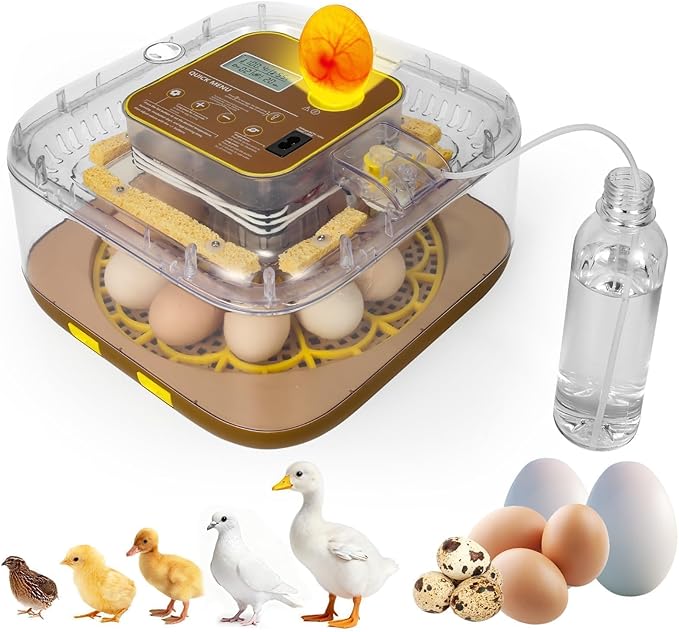 Series IV - 12-Egg Fully Automatic Incubator, Low Maintenance, Sensor-Based Precise Humidity & Temp Control, Custom-Interval Auto Turn & Auto Stop, Preset Incubation Days, Candler, Alarms