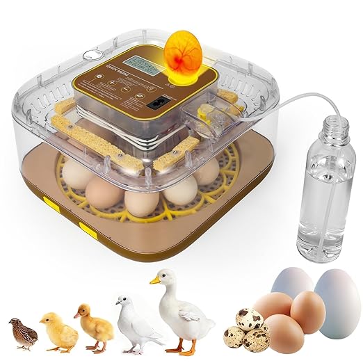 4th Gen - 12 Egg Fully Automatic Incubator, 2026 Upgraded Design, Intelligent Sensor-Based Humidity & Temp Control, Custom Hatch Days, Adjustable Auto Turning with Auto-Stop, 360° View, Alarm, Candler